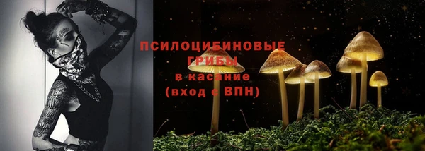 винт Абаза