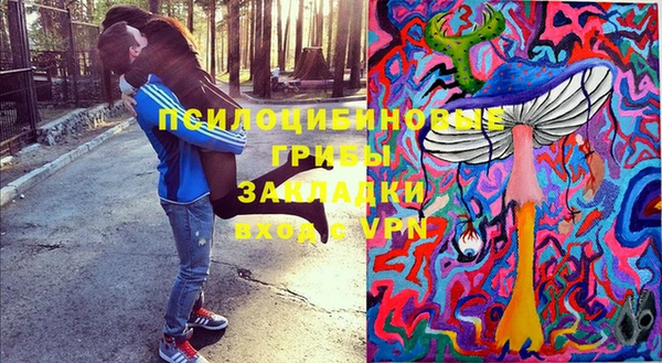 дживик Алексеевка