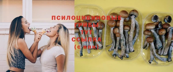 шишки Алексин